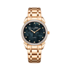 LADY'S COLLECTION PRIMERA DAMA 3113.7N-S1